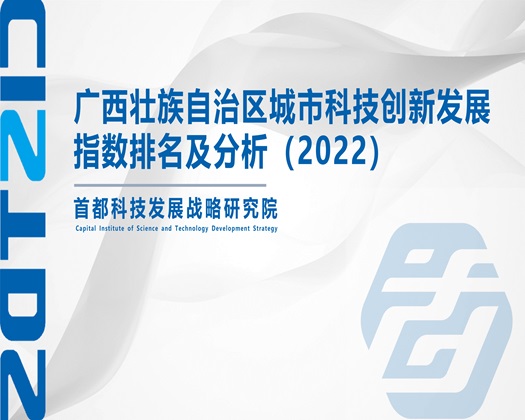 美女搞鸡操逼鸡巴【成果发布】广西壮族自治区城市科技创新发展指数排名及分析（2022）